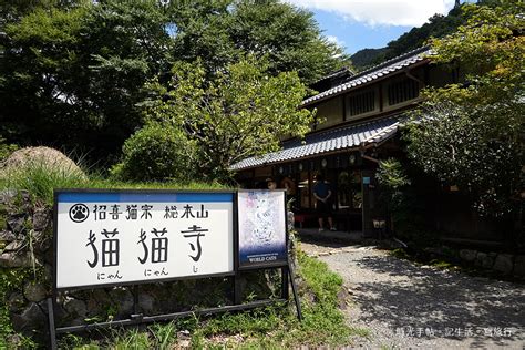 貓貓山|京都景點│招喜貓宗總本山貓貓寺。住持竟然是貓咪 –